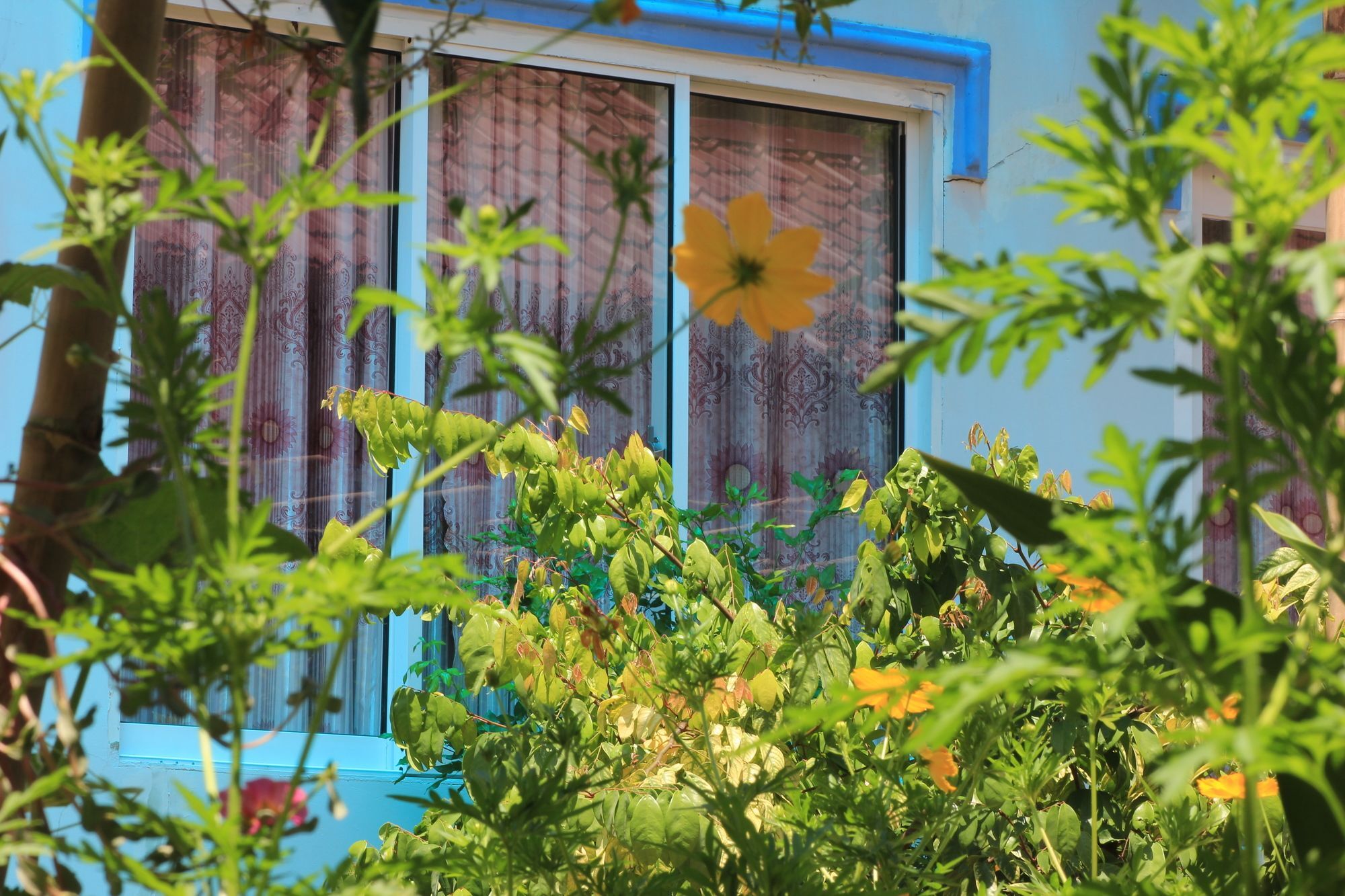 Bi Home Pq Phú Quốc Exterior foto